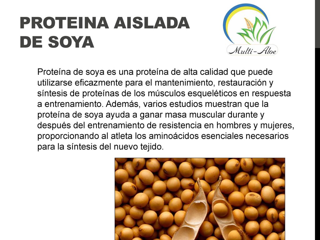 Proteina aislada de soya beneficios